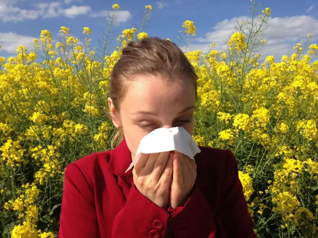 what tea is good for allergies